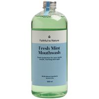 FtN Fresh Mint Mouthwash